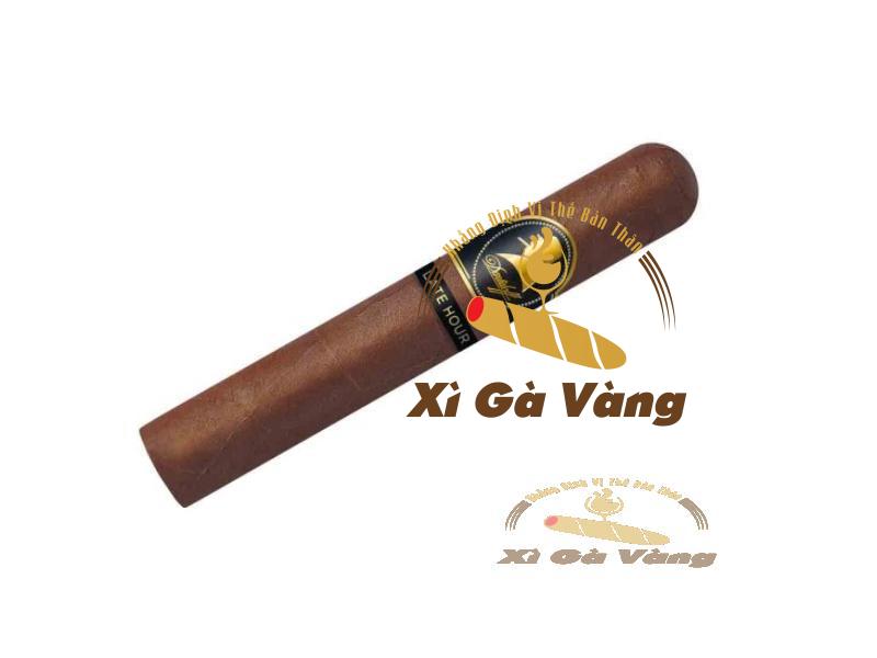 Cấu tạo của xì gà Late Hour Robusto